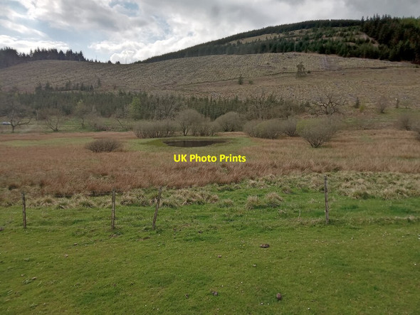 Photo 6"x4" Pond in Mount Bog Kaimrig End c2021