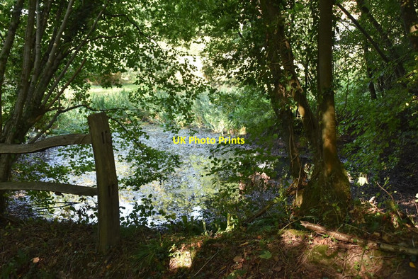 Photo 6"x4" Small pond Burnt Oak\/TQ5127 c2020