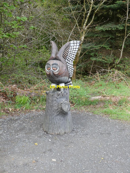 Photo 6"x4" Carved Owl in Hamsterley Forest Bedburn c2021