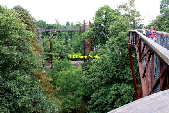 Photo 6"x4" The Xstrata Treetop Walkway, Kew Gardens Brentford c2017