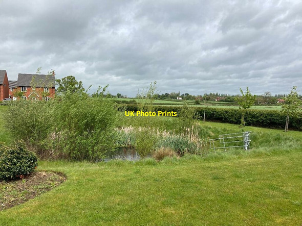 Photo 6"x4" Community Pond in Stretton Beam Hill c2021