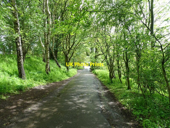 Photo 6"x4" Himley Parking Himley c2021