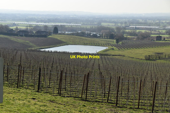 Photo 6"x4" Orchard and pond Linton\/TQ7549 c2021