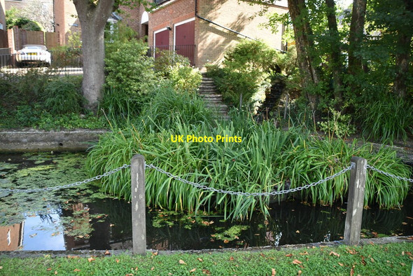 Photo 6"x4" Pond, Church Rd Uckfield c2020