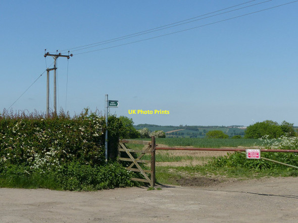 Photo 6"x4" Lambley Bridleway Lambley\/SK6345 c2021