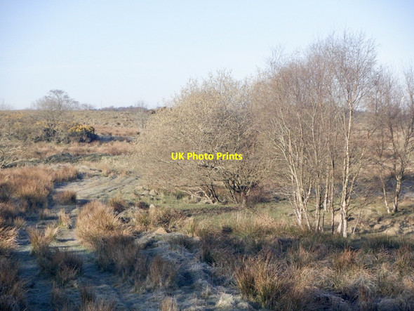 Photo 6"x4" Old quarry workings Armadale\/NS9368 c2021