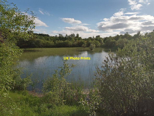 Photo 6"x4" Pond at North Edge of Kingshill Local Nature Reserve Allanton\/NS8557 c2021