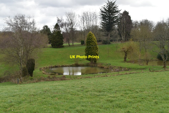 Photo 6"x4" Small pond Lower Cousley Wood c2021