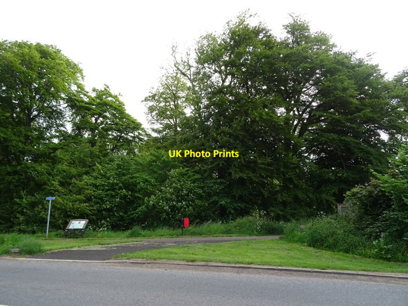 Photo 6"x4" Path to Mill Ponds off Old Glamis Road Trottick c2021