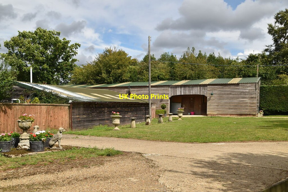 Photo 6"x4" Sunset Ridge Farm Leaves Green c2020