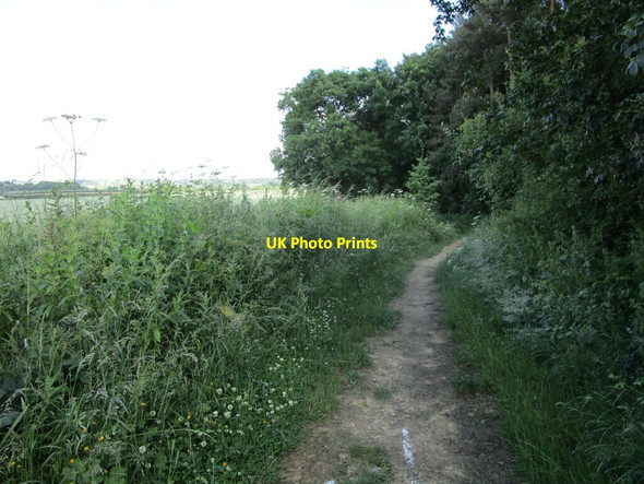 Photo 6"x4" Bridleway to Burley Ashwell\/SK8613 c2021