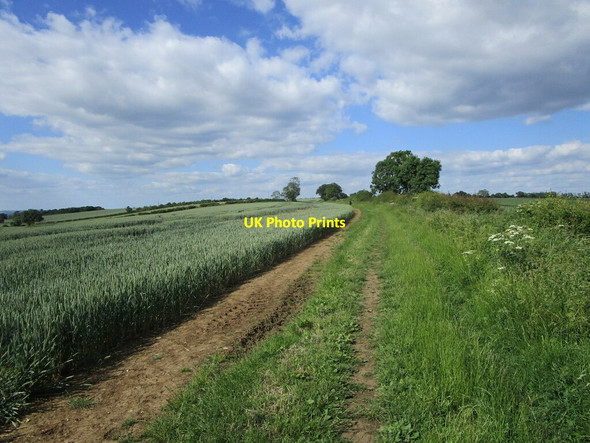 Photo 6"x4" Bridleway to Burley Langham\/SK8411 c2021