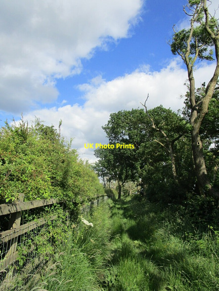 Photo 6"x4" Bridleway to Burley Langham\/SK8411 c2021