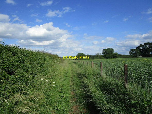 Photo 6"x4" Bridleway to Burley Ashwell\/SK8613 c2021