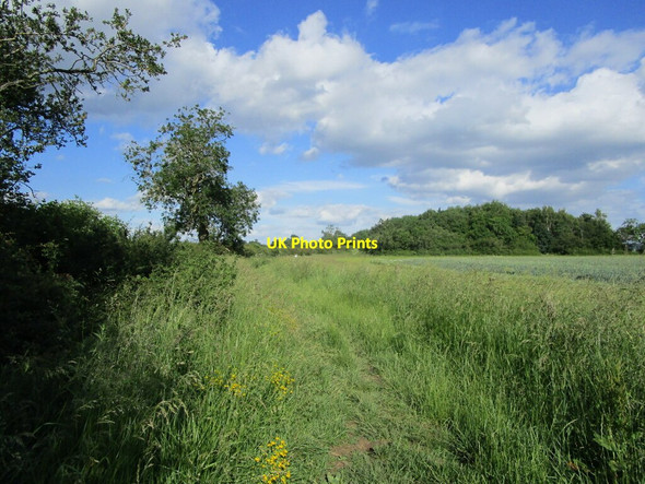 Photo 6"x4" Bridleway to Burley Ashwell\/SK8613 c2021 P2