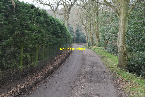 Photo 6"x4" Bridleway, Beacon Hill West Runton c2020