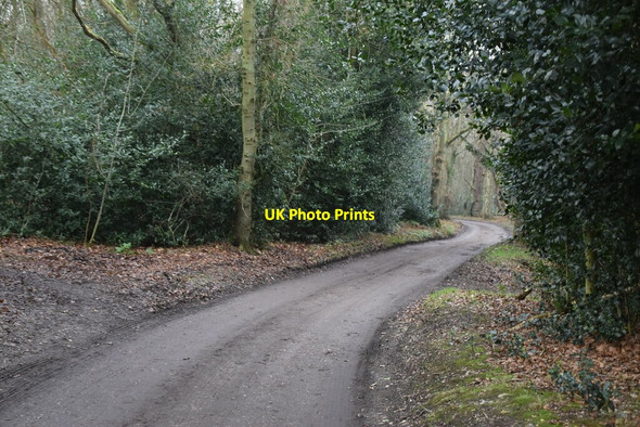 Photo 6"x4" Bridleway, Beacon Hill West Runton c2020 P1