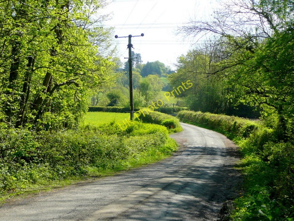 Photo 6"x4" Oaks Lane Aston Ingham c2009