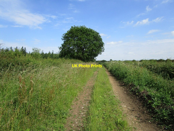 Photo 6"x4" Bridleway to Cotham Cotham\/SK7947 c2021