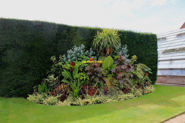 Photo 6"x4" Hampton Court Palace - Flower bed Surbiton c2015