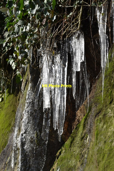 Photo 6"x4" Icicles on cliff, All Saints Rise Royal Tunbridge Wells c2021