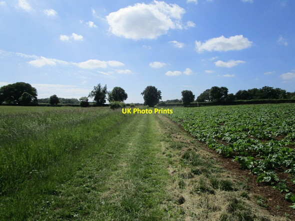 Photo 6"x4" Bridleway to Upton and Langley Bush Road Upton\/TF1000 c2021