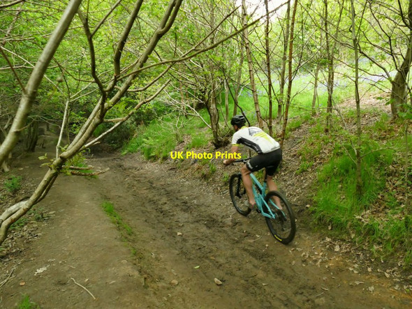 Photo 6"x4" Mountain biker in Buck Wood Baildon c2021
