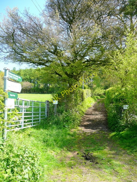 Photo 6"x4" Footpath to May Hill Dursley Cross c2009