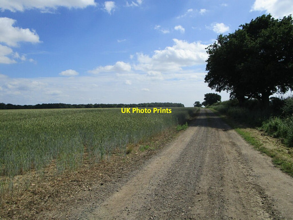 Photo 6"x4" Bridleway to Upton Upton\/TF1000 c2021