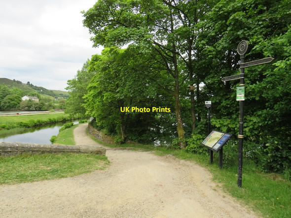 Photo 6"x4" Canal towpath near Marsden Lingards Wood c2021
