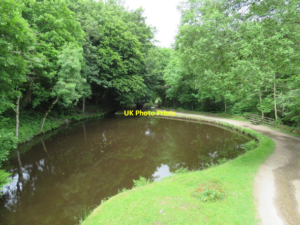 Photo 6"x4" Winding hole near Marsden Lingards Wood c2021 P1