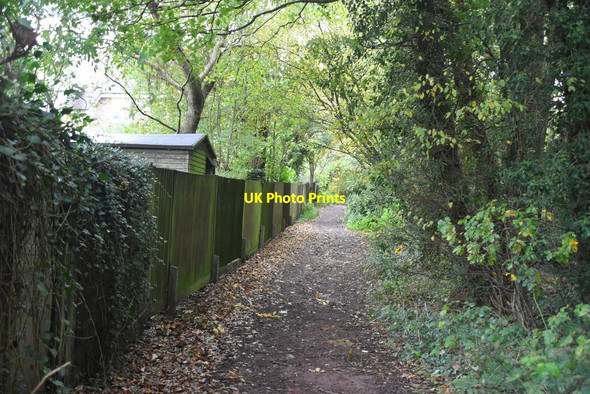 Photo 6"x4" Byway, Kiln Wood South Chailey c2020