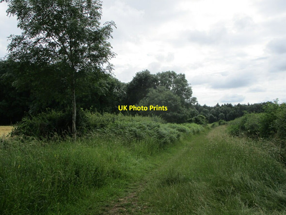 Photo 6"x4" Bridleway to Langley Bush Road Southorpe\/TF0803 c2021
