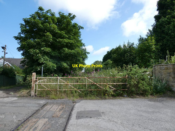 Photo 6"x4" Lost railway Albany c2021