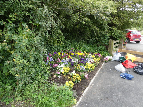 Photo 6"x4" Wardley Wombles flower bed Follingsby c2021 P1