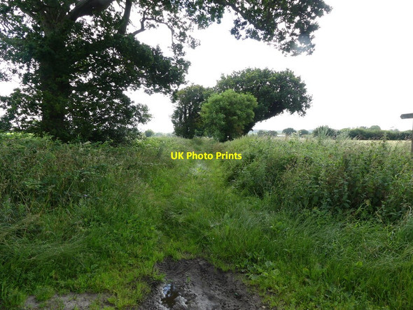 Photo 6"x4" Restricted Byway North Walsham c2021