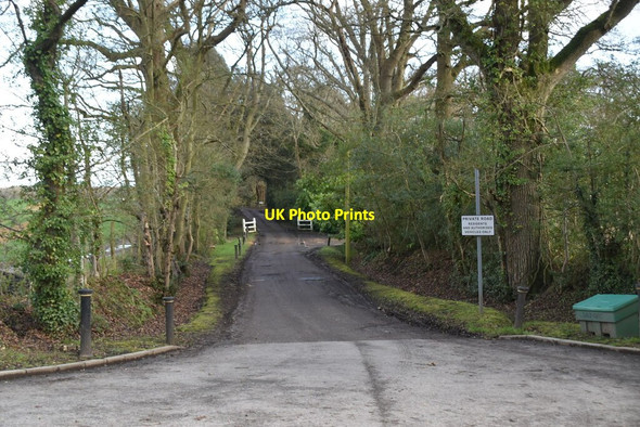 Photo 6"x4" Road to Alderden Manor Field Green c2020