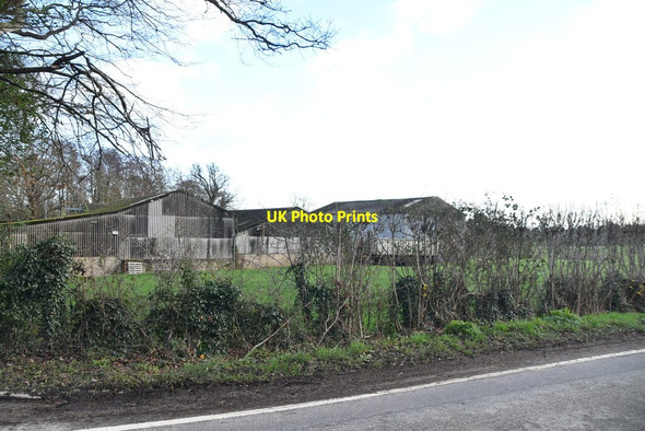Photo 6"x4" Alderden Manor Farm Field Green c2020