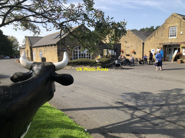 Photo 6"x4" Milkhope Centre Brenkley c2020