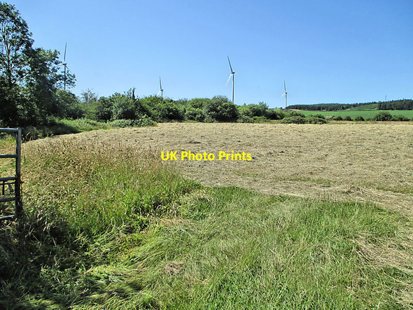 Photo 6"x4" Meadow and Turbines Gathabawn c2021