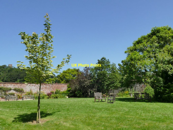 Photo 6"x4" Dunster Village Gardens (1) Dunster c2021