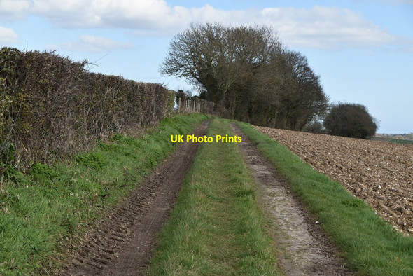 Photo 6"x4" White Cliffs Country Trail Napchester c2020 P1