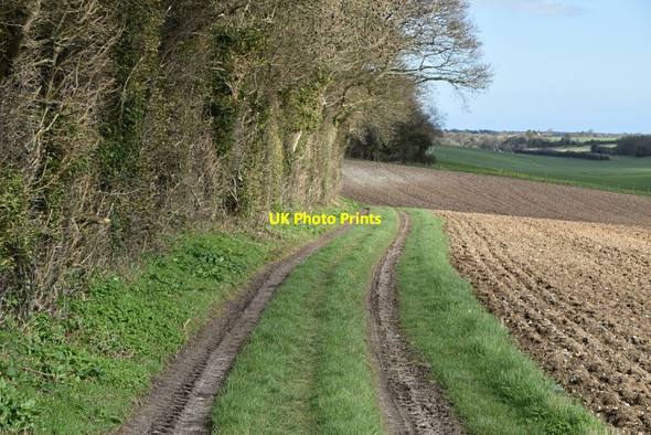 Photo 6"x4" White Cliffs Country Trail Napchester c2020 P2