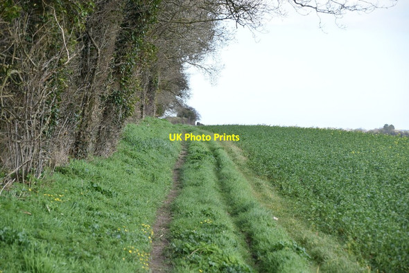Photo 6"x4" White Cliffs Country Trail East Studdal c2020 P1