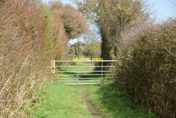 Photo 6"x4" Gate, White Cliffs Country Trail Sutton\/TR3349 c2020