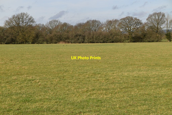 Photo 6"x4" Pasture near Starborough Manor Haxted c2021
