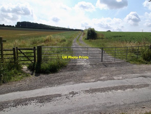 Photo 6"x4" Bridleway, Nunburnholme Wold Nunburnholme c2021