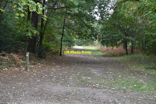 Photo 6"x4" Bridleway, Black Park Wexham Street c2020 P1