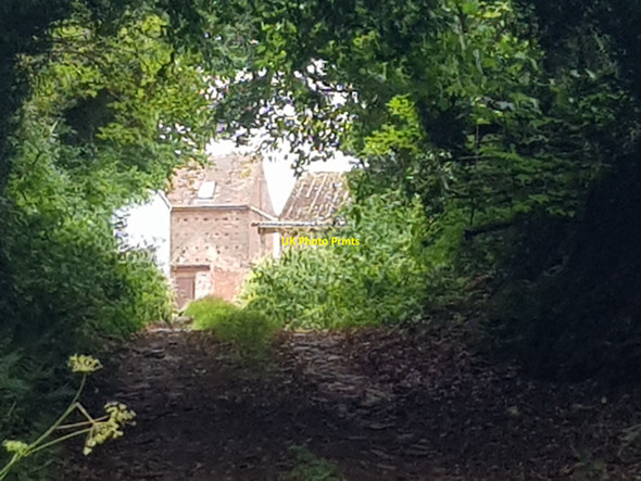 Photo 6"x4" Old farming buildings hidden by trees Barnettbrook c2021