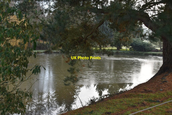 Photo 6"x4" Pond by Woodlands Farm Palmer's Green c2021
